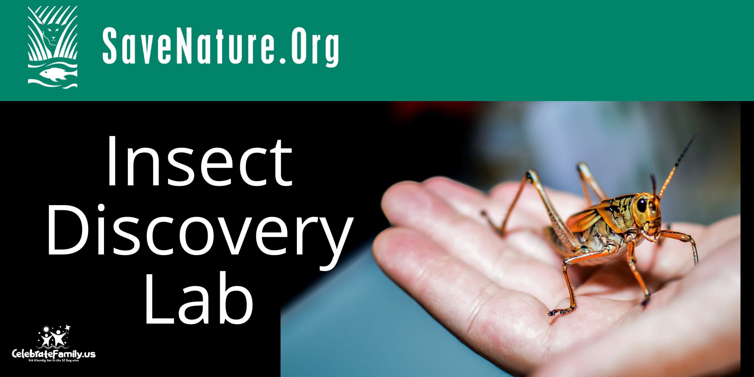 SaveNature.org Insect Discovery Lab